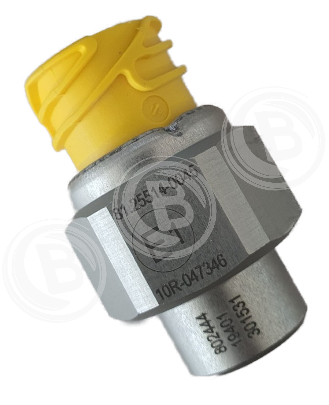 Handbrems Kontrollschalter