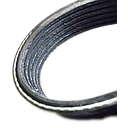 Mehrrippenriemen 8PK 1162 MAN